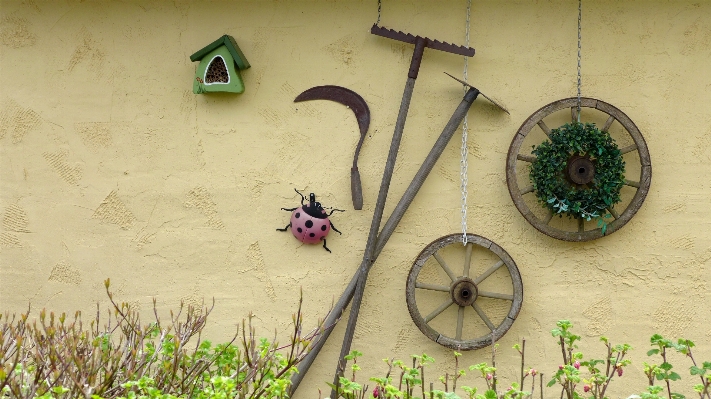 Wheel leaf flower wall Photo