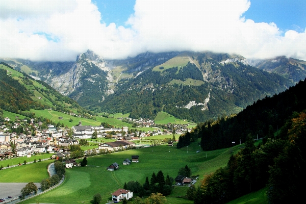 Landscape forest mountain meadow Photo