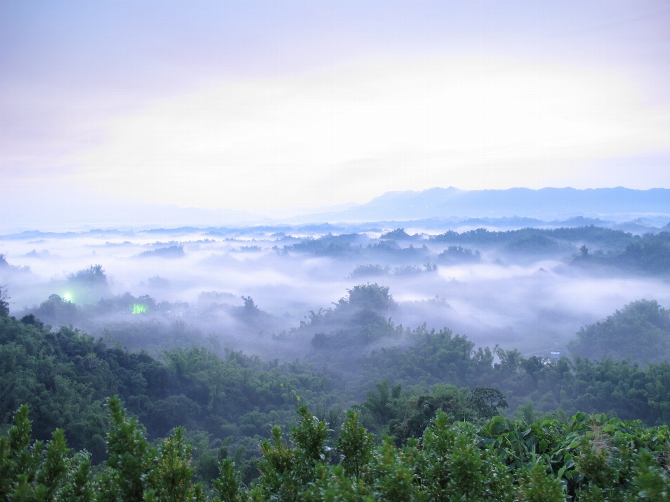 Landscape nature forest horizon