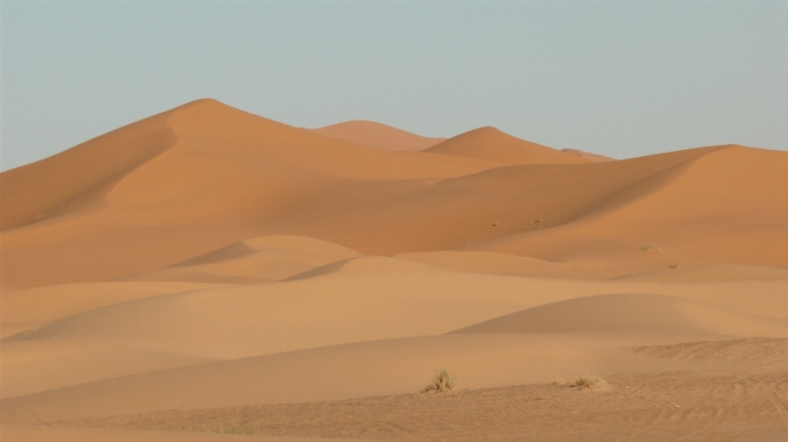 Landscape sand desert dune Photo