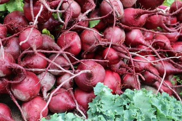 Flower food red harvest Photo