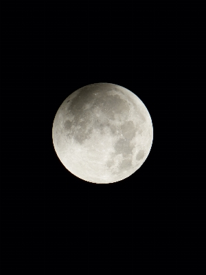 Foto Bianco e nero
 cielo notte stella