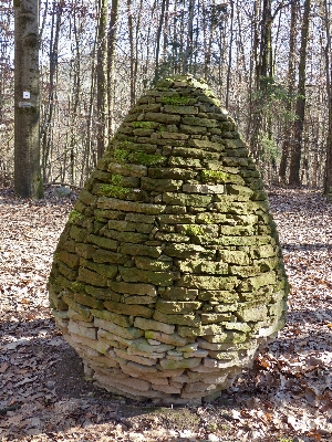 Tree nature forest rock Photo