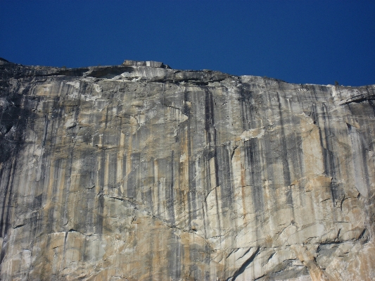 Landscape tree forest rock Photo