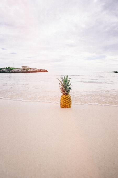 Plage mer côte sable