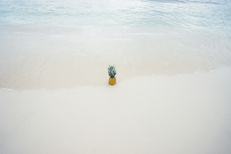 Praia mar costa água