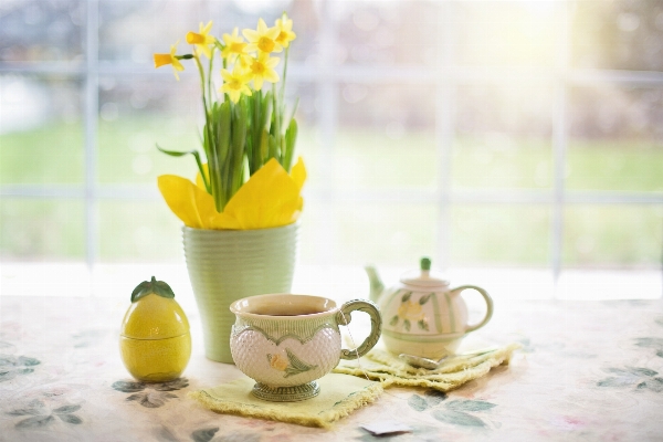 Nature plant tea flower Photo