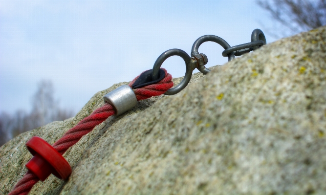 Rock rope flower stone Photo