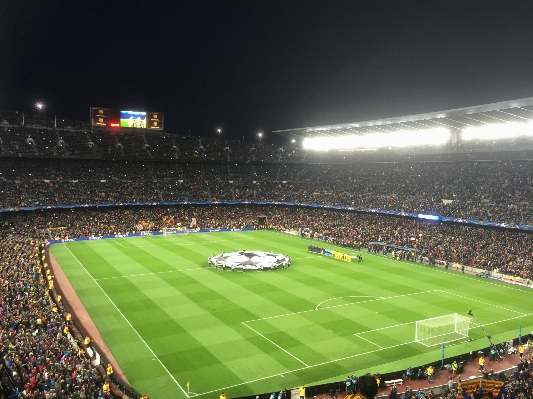 Foto Struktur sepak bola stadion pemain