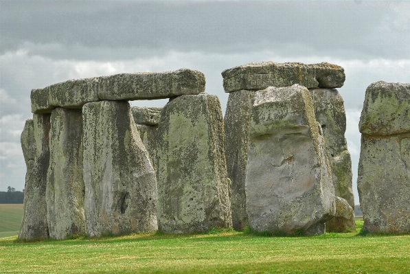 木 草 rock 形成 写真