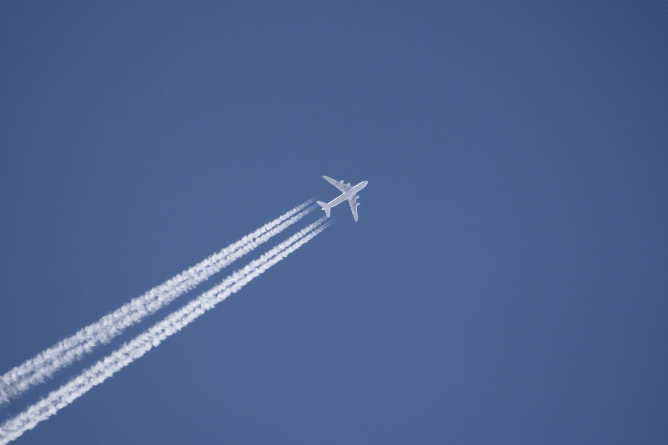 Asa céu avião aeronave