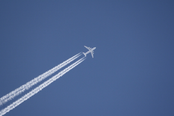 Wing sky airplane aircraft Photo