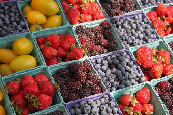 Plant farm fruit berry Photo