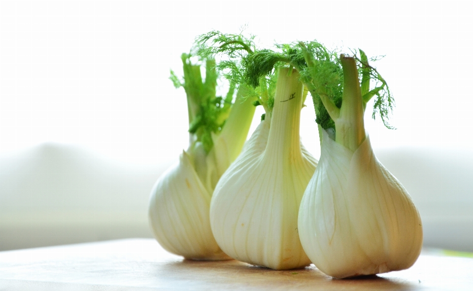 Planta alimento producir verdura