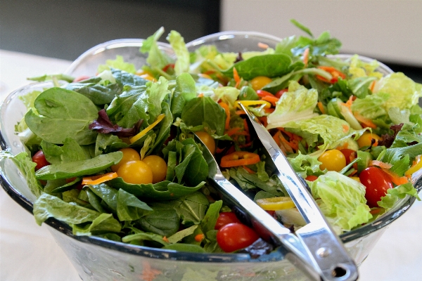 Dish food salad green Photo