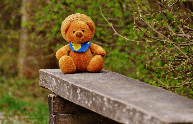 Cute bear autumn toy Photo