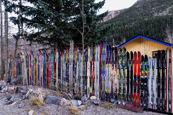 Nature winter fence road Photo