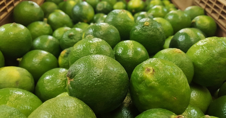 Foto Planta fruta alimento verde