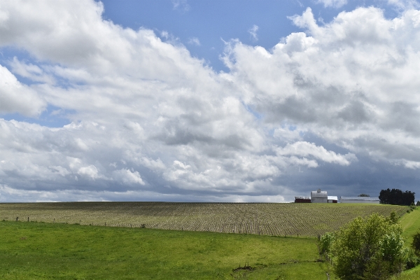 Landscape sea coast grass Photo