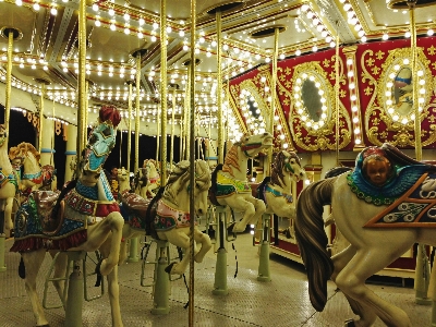 Recreation amusement park horse Photo