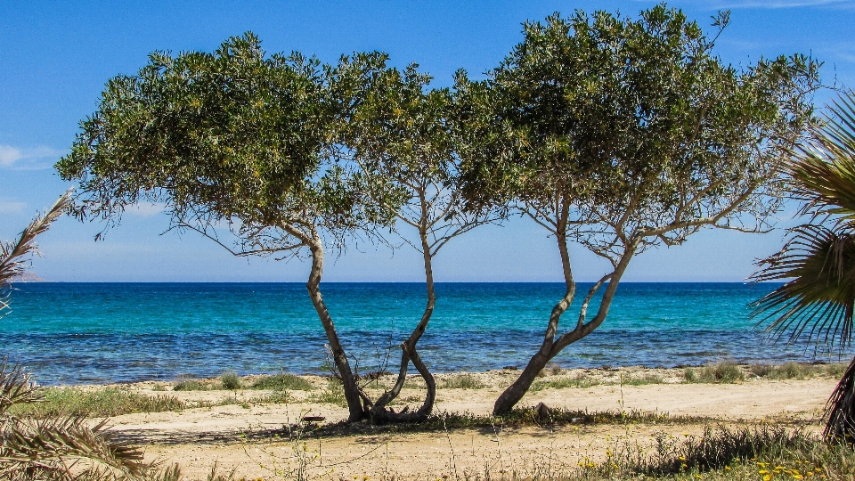 Pantai lanskap laut pesisir