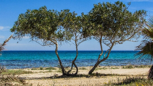 ビーチ 風景 海 海岸 写真