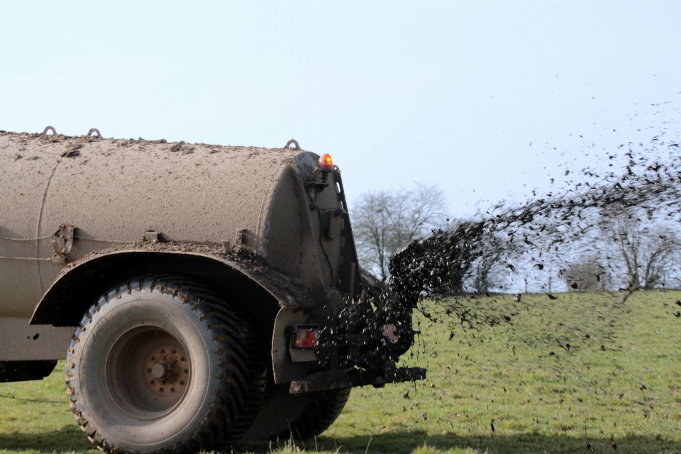 Natura auto campo militare