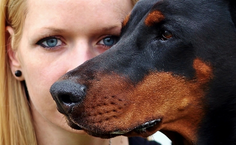 Foto Anak anjing mamalia merapatkan
