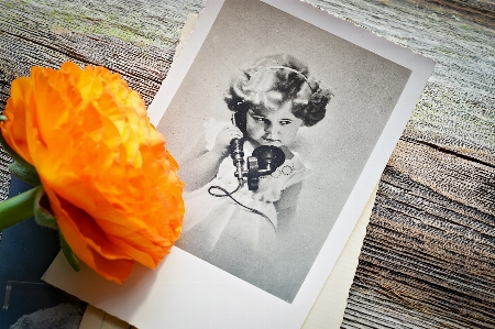 Blossom plant girl antique Photo