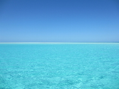 Beach sea coast ocean Photo