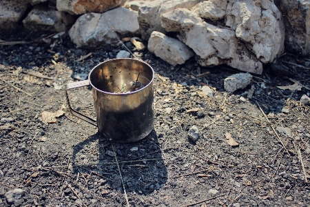 Utensil wood tea pot Photo