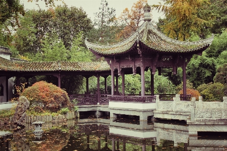 Palace pond asian environment Photo