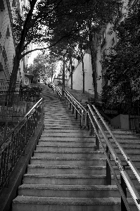 Black and white road bridge street Photo