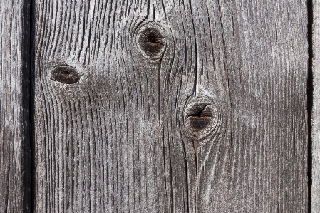 Branch structure board wood Photo