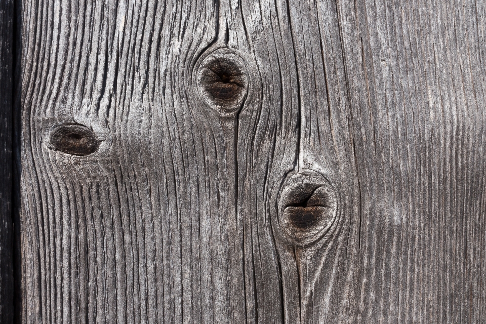 Branch structure board wood