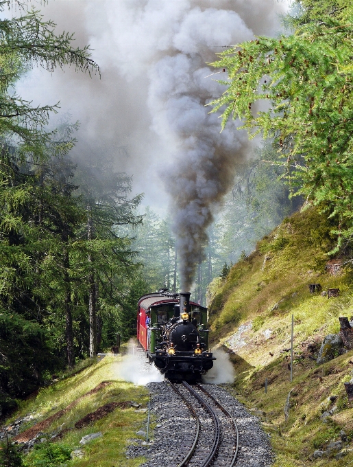 Schiene eisenbahn zug transport