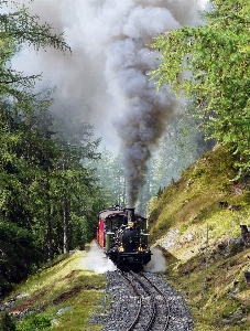 追跡 鉄道 訓練 輸送 写真