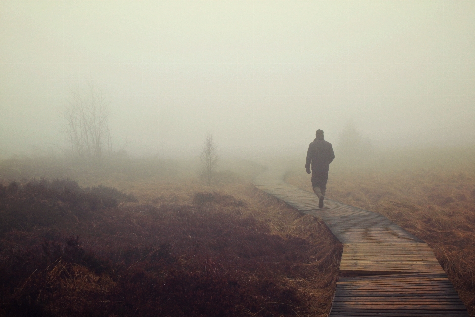 Man outdoor horizon marsh