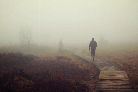 Man outdoor horizon marsh Photo