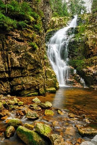 Landscape water nature forest Photo