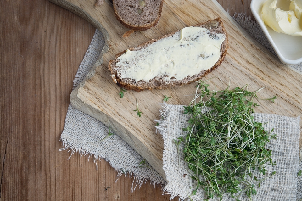 Anlage gericht essen grün