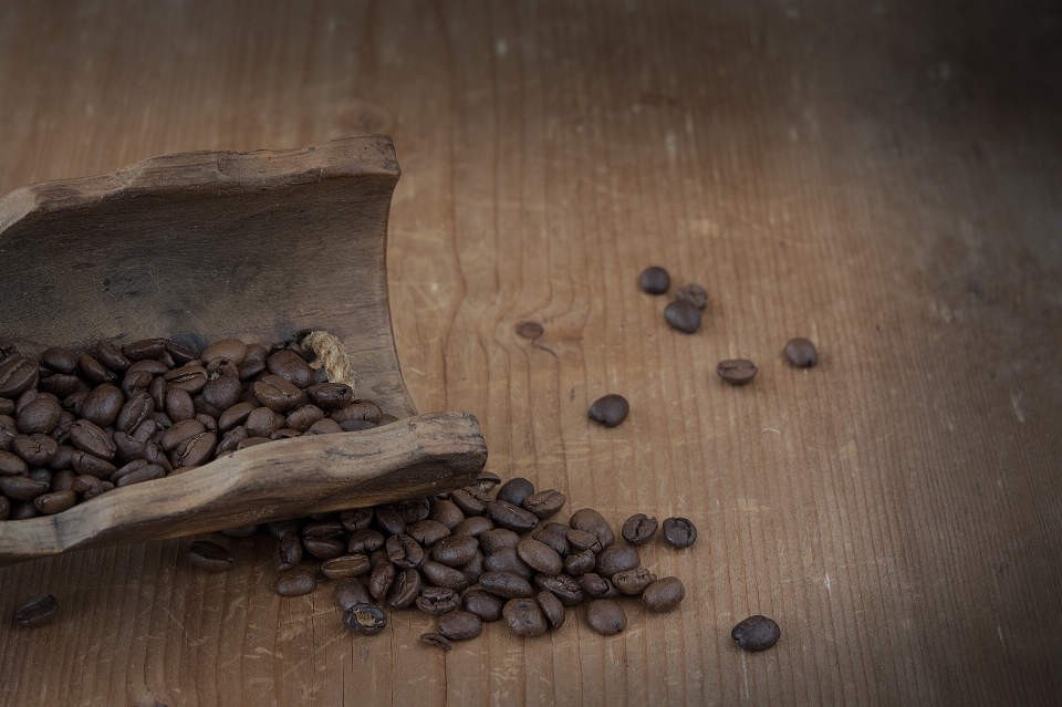 Caffè legna buio produrre