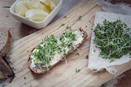 Plant dish food green Photo