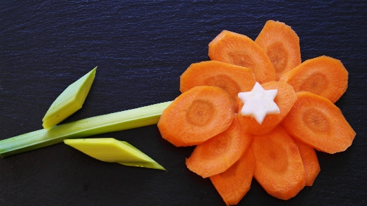 Plant leaf flower petal Photo