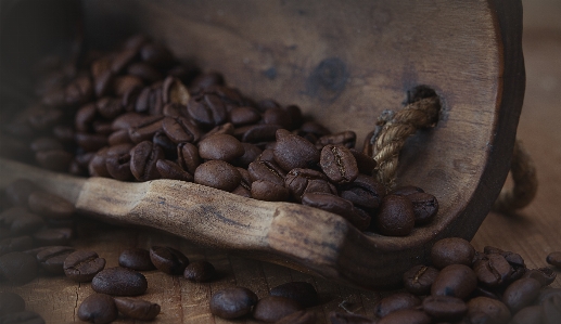 Coffee wood food produce Photo