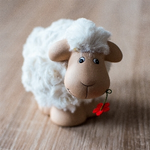 White sweet sheep toy Photo