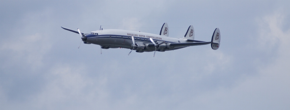 Aile avion véhicule compagnie aérienne