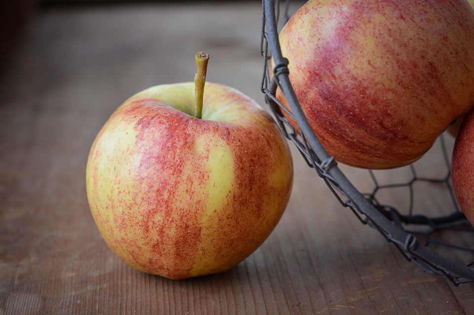 Apple plant fruit sweet