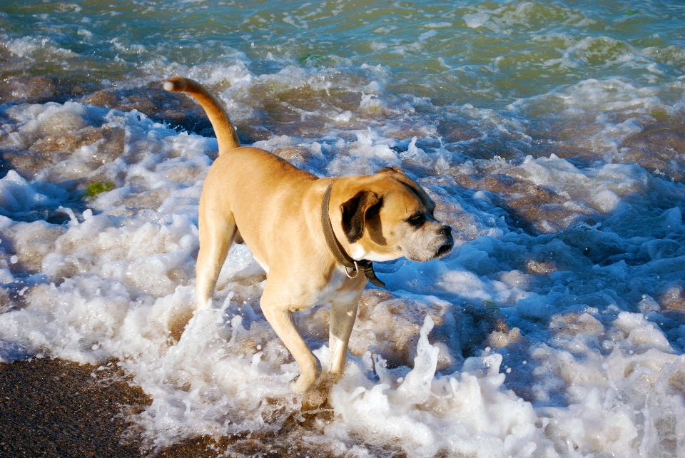 Beach sea coast water