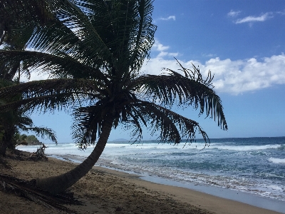 Beach landscape sea coast Photo